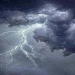 «الجمارك» تعلن عن وظائف شاغرة لحملة البكالوريوس.. رابط التقديم