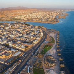 تعليق رسمي على فيديو «الكلاب النافقة» بالرياض يوضِّح ملابسات الواقعة