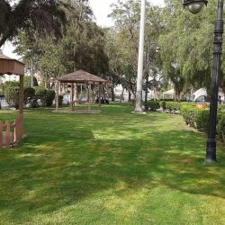 الأزوري يحتفل بزفاف ابنته في حفل عائلي.