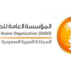 وزير الإسكان : رؤية 2030 أسهمت في نمو القطاع السكني وتسريع تملّك المواطنين… والمرحلة الثانية من “برنامج الإسكان” العام المقبل