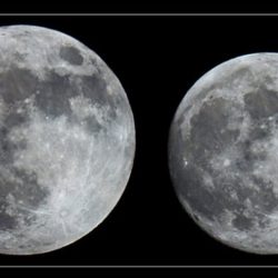 إمام الحرم : ندين ونستنكر بأشد العبارات التطاول على مقامات النبوات والرسالات ولا سيما خاتمهم نبي الهدى والرحمة محمد ﷺ