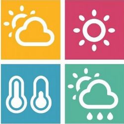 “التجارة” تشهر بمواطن تستر على مقيم ومكنه من المتاجرة في أجهزة استقبال القنوات الفضائية