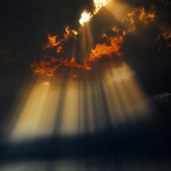 انتهاء وزارة الحرس الوطنى من دورة الدفاع الكيماوي عن الاسلحة الكيميائية