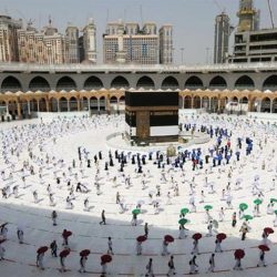 متحدث «التجارة» يحذر من نصب المتاجر الإلكترونية وينصح بالشراء بعد توفر شرطين