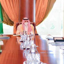 وزارة الدفاع والهيئة العامة للصناعات العسكرية تعلنان عن تدشين أُول منظومة للزوارق الاعتراضية السريعة (HSI32) المصنعة محلياً