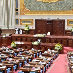 محمية وادي الاسيوطي