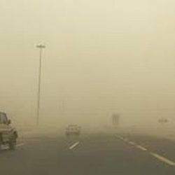 طلب كبير على الرحلات البحرية الداخلية ونشاط في سياحة المدن الساحلية