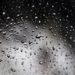 برنامج الأمان الأسري يختتم الحملة التوعوية لسلامة الأطفال داخل المركبات