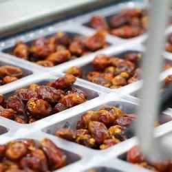 المركز الوطني للأرصاد: أمطار رعدية على عدد من محافظات منطقة تبوك