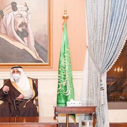 شرطة الرياض: القبض على مواطنين لتورطهما بكسر زجاج مركبتين متوقفتين واستوليا على مبالغ مالية ومقتنيات بداخلهما