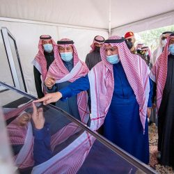 وزارة الثقافة تفتح باب التسجيل في أول ماراثون للأفكار الثقافية