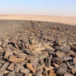 الأحوال المدنية تقدم خِدْماتها في المديرية العامة للسجون بمنطقة حائل