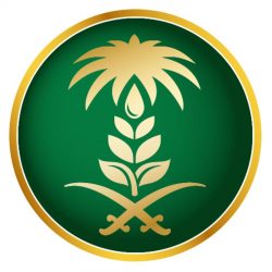 “الأرصاد” تنبه بهطول أمطار رعدية على عدد من محافظات مكة المكرمة