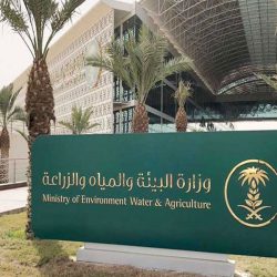 شرطة الرياض : القبض على 4 أشخاص من مخالفي نظام الإقامة تورطوا بارتكاب عدد من جرائم السطو على حظائر المواشي