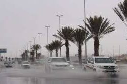 “الصحة”: تسجيل 8 وفيات و163 إصابة جديدة بفيروس “كورونا” وشفاء 189 حالة