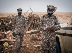 سكني: 48٪؜ نمو في أعداد الأسر التي سكنت منازلها في 2020