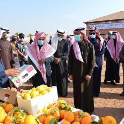 “هيئة الاتصالات” تصدر دراسة عن الحالة التنظيمية للحوسبة السحابية عالميًا