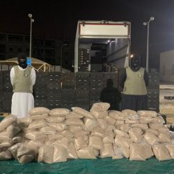 هذه شروط دخول القطريين إلى السعودية