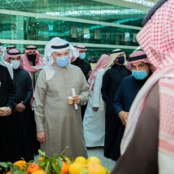 أمانة المدينة المنورة تستكمل المرحلة الأولى من مشروع تأهيل إنارة الطرق والأحياء السكنية