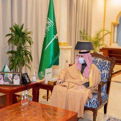8784 حالة ولادة في مجمع الملك فيصل في الطائف خلال عام 2020