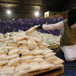 “الجمارك” تُحبط تهريب 1475 كرتون ألعاب نارية بالرياض