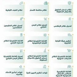 الهيئة العامة للإحصاء تُصدر نتائج نشرة سوق العمل للربع الثالث من عام 2020م