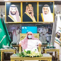 ” حائل”.. باقات نموذجية في موسم “شتاء السعودية”
