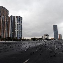 خطبتا الجمعة من المسجد الحرام والمسجد النبوي