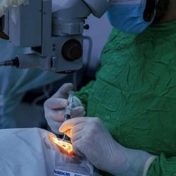 بدء تطبيق المرحلة الأولى من “الأراضي البيضاء” في جازان والطائف