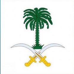 “هدد” يسعى من عملية إطلاق الصقور إلى سرعة تكيفها في بيئاتها الطبيعية