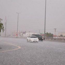 “الجوازات” تطلق هوية مقيم الرقمية عبر منصة أبشر