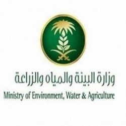 مستشفى الملك فيصل التخصصي بالمدينة يبدأ بعد غدٍ المرحلة التشغيلية الثانية