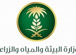 “الصحة” تدعو إلى التقيد بالإجراءات الاحترازية وتُعلن تسجيل (212) حالة مؤكدة وتعافي (160) حالة