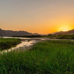 ببالغ الاسى تنعى الدكتوره ندى العيسى فى وفاة السمو الملكى طرفه بنت هذلول