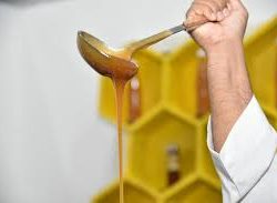 الخيارات الصحية والطهي المنزلي كأفضل العادات لعام 2020م عبر تطبيق “الدانوب”