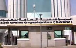 وزارة البيئة والمياه تدعو 297 متقدم ومتقدمة لوظائفها الإدارية والفنية والهندسية