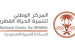 سمو أمير منطقة الرياض يستقبل سفير الولايات المتحدة الأمريكية لدى المملكة