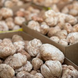 #عاجل مصدر مسؤول بوزارة الداخلية: تعليق السماح بدخول المملكة لغير المواطنين والدبلوماسيين والممارسين الصحيين وعائلاتهم مؤقتاً للقادمين من 20 دولة اعتباراً من الساعة 9 من مساء يوم الأربعاء الموافق 3 / 2 / 2021م.