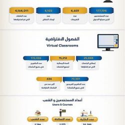 أمانة العاصمة المقدسة تنهي أعمال الجدارية التشكيلية بجسر العوالي