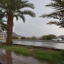 “الشؤون الإسلامية”: إعادة فتح 44 مسجداً وإغلاق 5 مساجد بمنطقتي الرياض والحدود الشمالية بعد ثبوت حالات كورونا