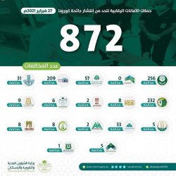 القوات الخاصة للأمن البيئي تضبط مخالفة نقل رمال وتجريف للتربة في مدينة الرياض