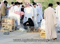 مجلس الشورى يعقد جلسته العادية الثامنة عشرة من أعمال السنة الأولى للدورة الثامنة