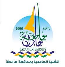 أمانة المدينة المنورة تنفذ 9369 جولة ميدانية