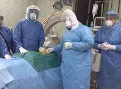 صندوق التنمية الزراعية يُنظم ورشة عمل حول فرص الاستثمار الزراعي السعودي في القارة الإفريقية