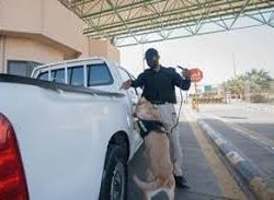 جامعة الملك خالد توقع اتفاقيات تعاون مع أندية أبها وضمك وجرش