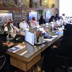 “البيئة” تحظر صيد أسماك الناجل والطرادي على ساحل البحر الأحمر لمدة شهرين