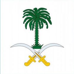 مجلس الوزراء يعقد جلسته ـ عبر الاتصال المرئي ـ برئاسة خادم الحرمين الشريفين