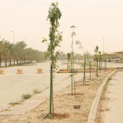 سمو أمير الجوف يستقبل محافظ التدريب التقني والمهني ويشهد توقيع اتفاقية وعقود توظيف