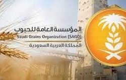 المركز الوطني للأرصاد : رياح نشطة وأتربة مثارة على منطقة عسير