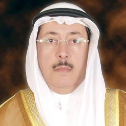 شرطة المدينة المنورة : القبض على مواطن و(3) مخالفين لنظام أمن الحدود ارتكبوا جرائم نشل وتحايل